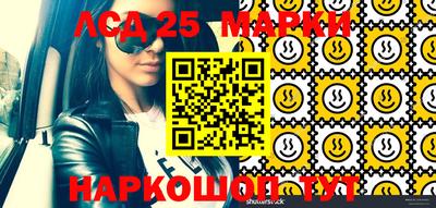 индика Будённовск