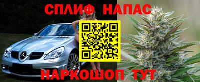 индика Будённовск