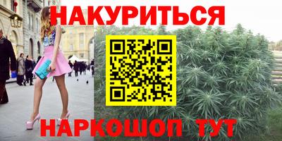 индика Будённовск