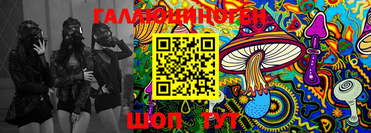 Галлюциногенные грибы Psilocybine cubensis Томск